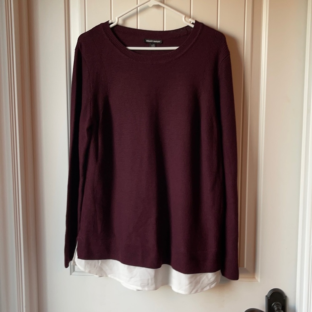 NWOT Hilary Radley Tunic Sweater
